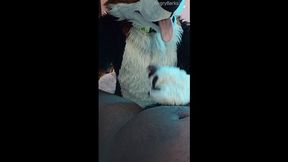 Hairy Puppy Voz makes a dirt out of SJ