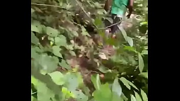 Machos se pegando em trilhas no Brazil - 0002