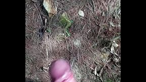 Paja en el bosque