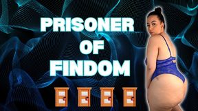 Financial Domination - Prisoner of Findom - Femdom - Female Domination - Domination - Rose Ann