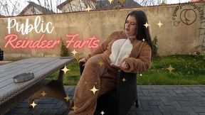 Public Reindeer Farts