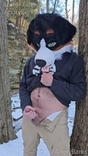 Furry @AngryBarks jerking off in the woods. Leaks cum then shoots hard 💦