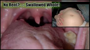 Landlord Drools Over My Belly Photos ? I Turn Him Into My Prey" Navel Vore RP