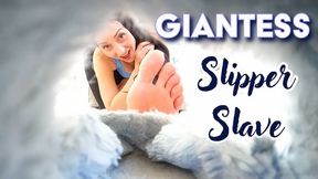 Giantess Slipper Slave - Stella Liberty makes your worship her giantess feet - HD MP4