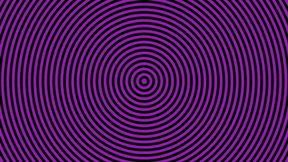 Sassy Savage and GreasyRose Belly play