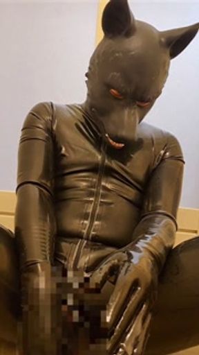 Latex dog mesmerized with animal