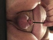 Urethral sounding play with cumshot