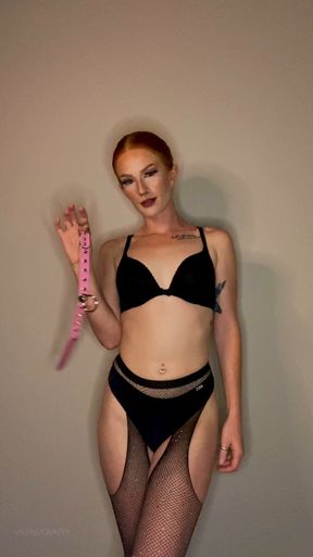 FinDom Puppy Training