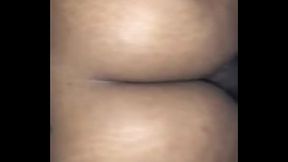 Yellow bone riding reverse