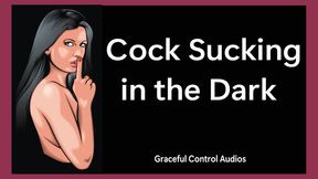 Cock Sucking in the Dark - Oral Servitude - Graceful Control Audios