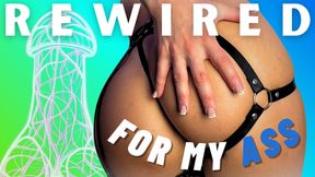Rewired For My Ass