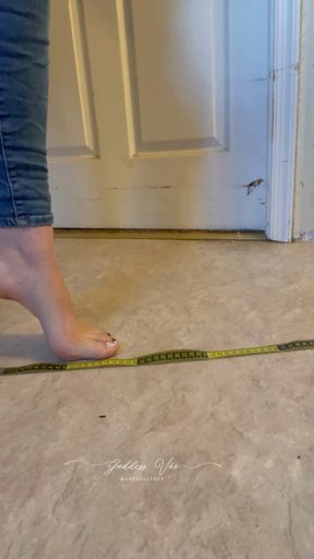 Exactly How Big Are My Feet? Watch Them GROW