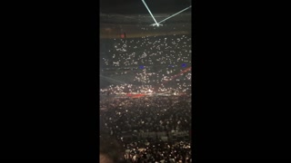 He fucks me at the foot of the tree