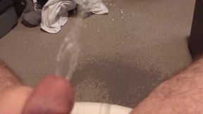 Peeing all over my Room (With Slow Mobility Replay)