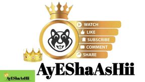 Ayesha Ashii Perfect girl with a wet pussy got a lot of orgasms this evening