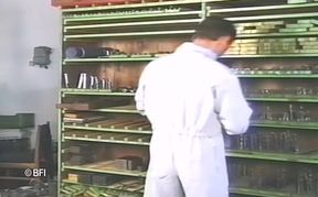 Sex in the factory -DVD-