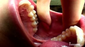 Pixie Shows Huge Oral Cavity