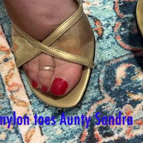 Vgq30 Aunty Sandra and Her Rago Girdle