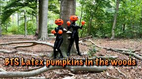 BTS pumpkins in the woods