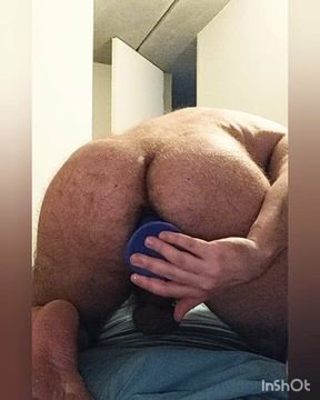 Hairy chastity locked bear rides dildo til he cums