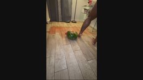 Melon Pop pt 2