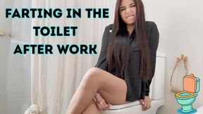 Long farts in the bathroom while wearing my work shirt.