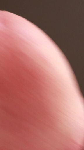 Big Cock