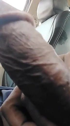 Powerful Cock