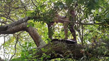 AMIGO MIM PEGOU NA FLORESTA E MIM METE A PICA BEM FORTE DANDO UMA GOSADA DENTRO DO MEU TOBA