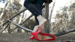 A walk in the park WMV (1920x1080) FHD