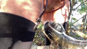 Trainer's Command No. 43: Masturbation Machine