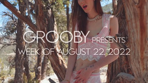 GROOBY: Weekly Roundup, 22nd Aug