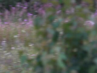 Banged in the throat on the edge of the forest