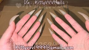 Hard Scratching on Cardboard with my 100% Natural Sharp Claws
