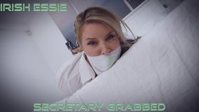 Irish Essie - Secretary Grabbed 4K ( Secretary , Leather Pants , Duct Tape Wrap Gag , Microfoam Tape Gag , Tape Bondage , Hogtie , Clear Tape Gag )