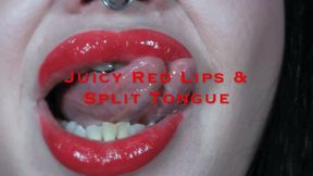 Juicy Red Lips & Split Tongue (mp4)