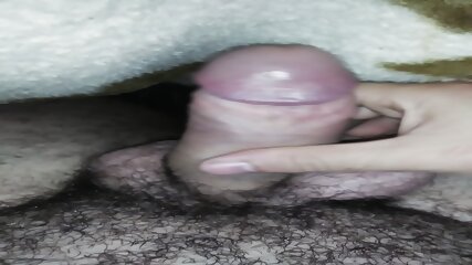 O pulamare