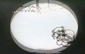 Vintage porno toon featuring the sex adventures of eveready