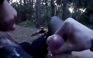 nella pineta di ostia