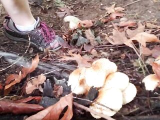 Pissing On Mushrooms ;)