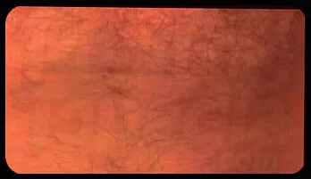 Tattooed Gay Man Masturbates with Dildo in Ass, Solo & Intense 320p