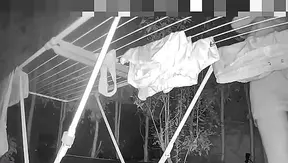 Clean laundry, dirty thoughts