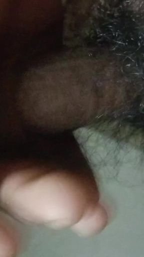 My Land Is Big Land Bhabhi