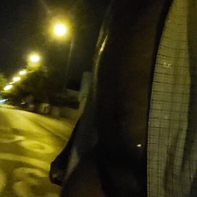 Naked walk at night 2