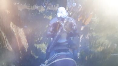 During the computer game "The Witcher" it is a pleasure to finish.