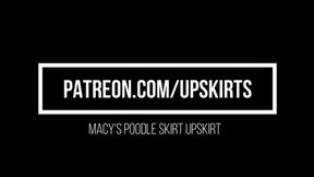 Macy's Poodle Skirt Upskirt