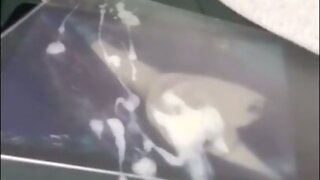 Incredible japanese cd cums VERY hard (cumpil)