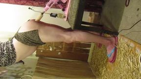 Sex Machine Stable
