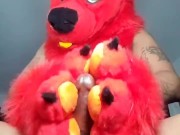 FireStorm Having a Good Time with His Paws