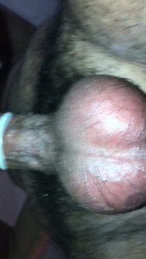 Black Breeders 73
